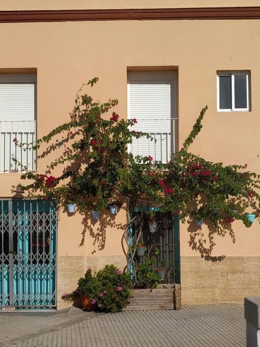Apartamento Las Canastas Cadiz Centro Exterior photo